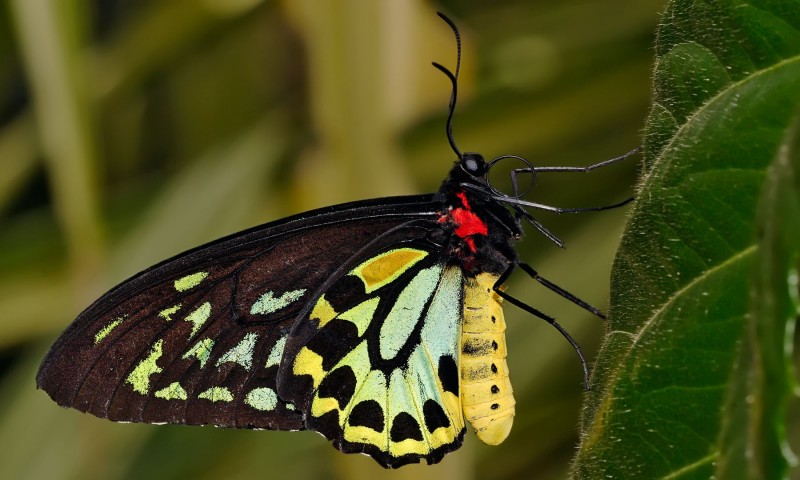 Excursie la Grădina Botanică Jibou Excursie la Grădina Botanică Jibou